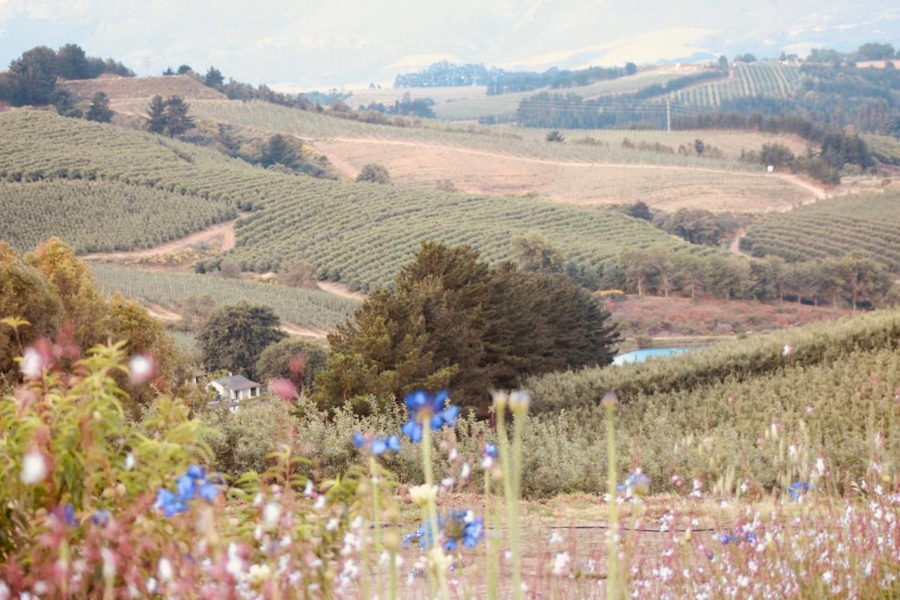 Cheverells Farm Grabouw Exterior photo